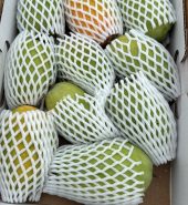 Indian Kesar Mango box( 8 to 10 count)