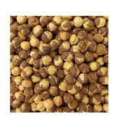 CHANA KABULI SALTED 70Z