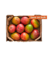 Mango Kent – 1 box (Count varies based on Mango size)