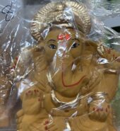 Ganesh Idol8-8inch Eco-Friendly(Dissolves in 45mins)
