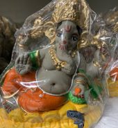 Ganesh idol 2: 4inch color Eco-Friendly(Dissolves in 45mins)