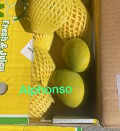 Indian Alphanso mango box( 10 to 11 pc)
