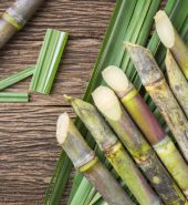 Fresh Sugar cane per lb